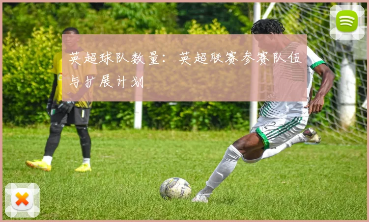 英超球队数量：英超联赛参赛队伍与扩展计划